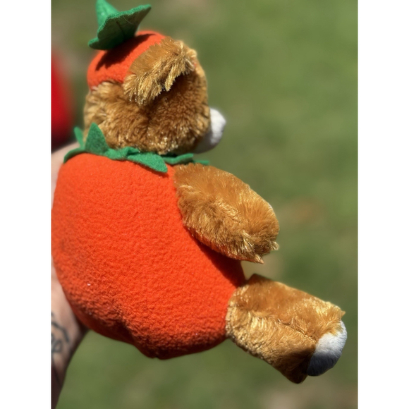 Plushland 7" Halloween Pumpkin Teddy Bear American Heart Assoc Plush Works!!!! - Picture 6 of 8